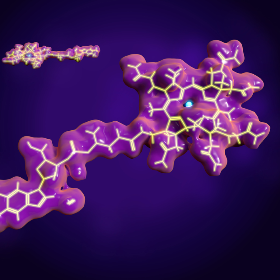 best bpc 157 for joint recovery how much bpc 157 should be injected TB-500 and BPC-157: Core Peptides Highlights Peptide Synergy for Recovery, Regeneration, and Cellular Support best bpc 157 for joint recovery how much bpc 157 should be injected TB-500 and BPC-157: Core Peptides Highlights Peptide Synergy for Recovery, Regeneration, and Cellular Support